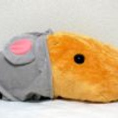 どんくんでーす カピバラなお年頃