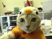 まお