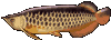 みすじ