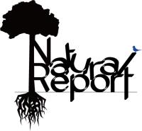 Natural Report