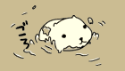 まいきゅん