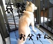 はるきち