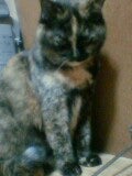 ひとみ