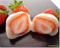 zzkiss