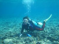 あらま☆honu diver