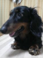 レンちん