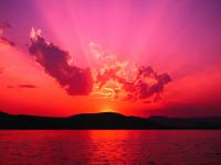 hiropon