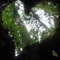 PASTBLOG