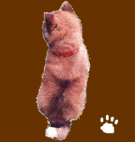 くー