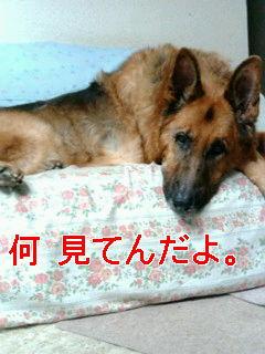 あっちゃん