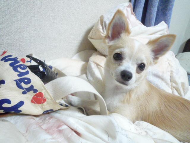 みぃこ⌒☆