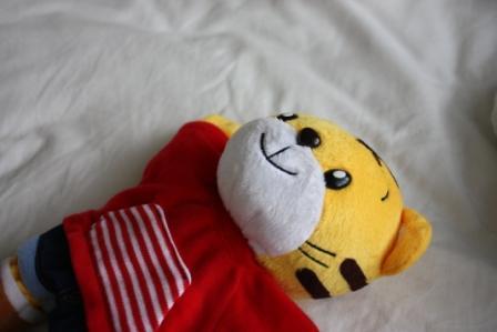栞