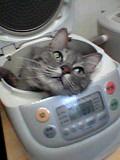 うーたろー