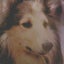 ryabina1122のサムネイル