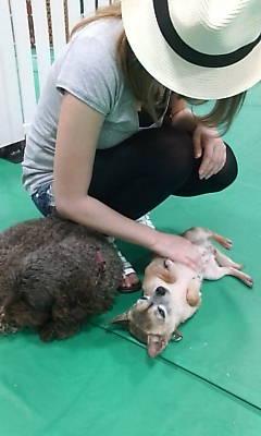 りすきち