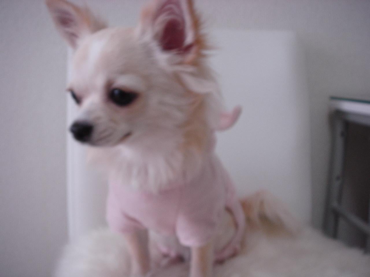 YUCCO☆