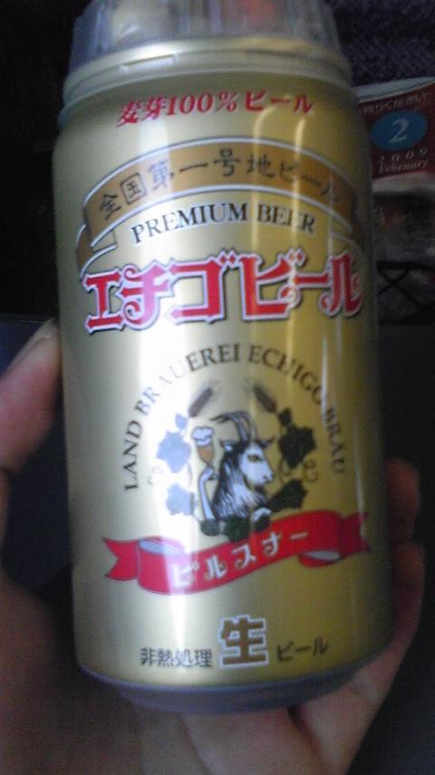トカゲ