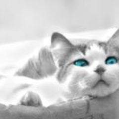 ジュリアードのプロフィール