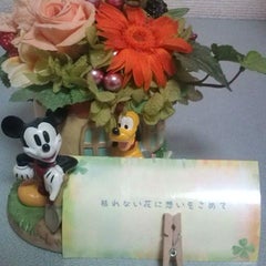 愛莉のプロフィール