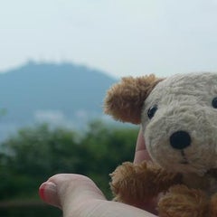 Mayのプロフィール
