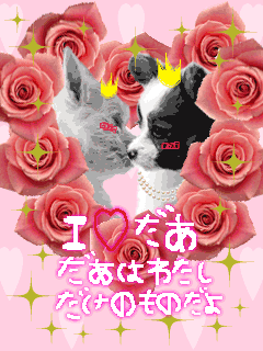 チシャ猫★