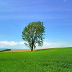 おくりびとのプロフィール