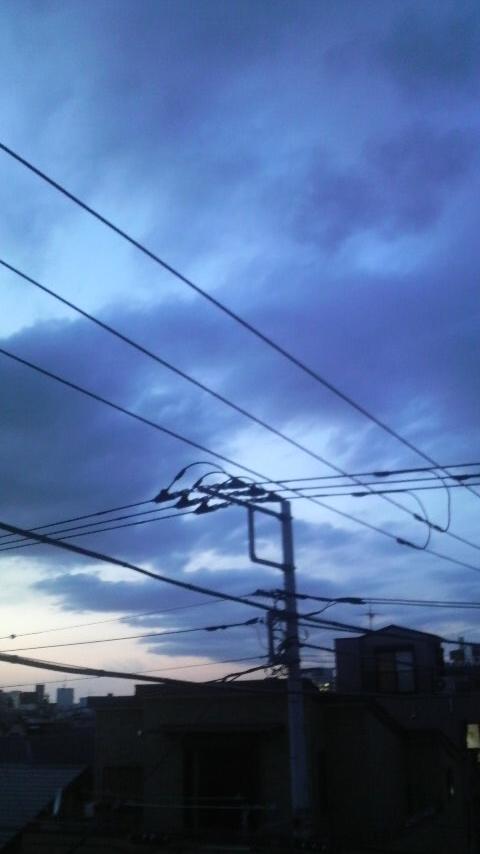 chi(*^^*)