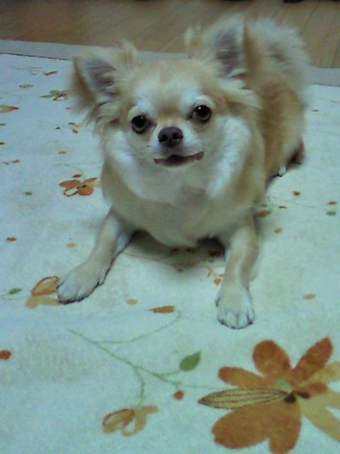 翔ちゃんママ。