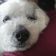 りさのプロフィール