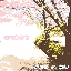 画像 狂い咲きの桜のユーザープロフィール画像
