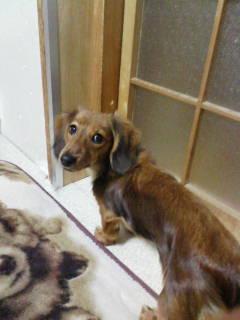 あっきぃな