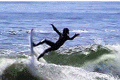 ShoresCrew