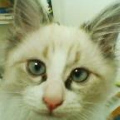 まりのプロフィール