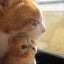 画像 おひとりさまと猫いっぴき＋在宅野良猫いっぴきのユーザープロフィール画像