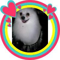 ゆりえ