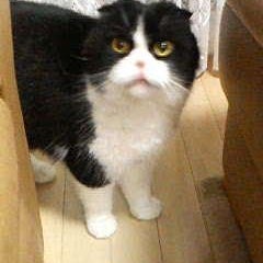 Cloudのプロフィール