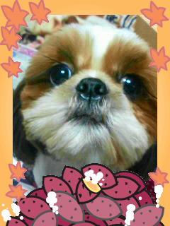 DIME(≧▽≦)ﾉｼ☆☆☆忙しくなるので小休止しやす