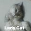 画像 ハッピーコスチューム & Lady Catのユーザープロフィール画像
