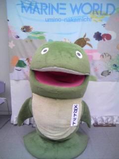 やや＠謎のカリスマ