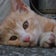 言いたい放題やで。知らんけど。