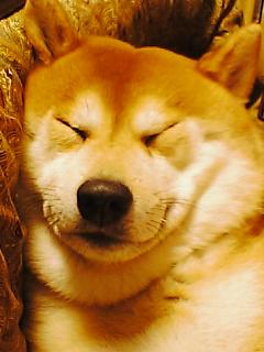 銀