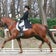 Love☆Dressage!!