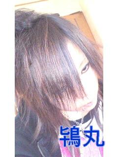 鴇丸-tokimaru-