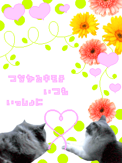 ｴﾝｼﾞｪﾙ☆