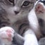 のんちゃんママのサムネイル