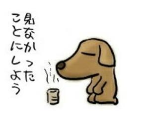 お肉ちゃん