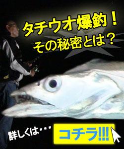太刀魚 タチウオの釣れる時間帯 Jfa太刀魚ブログ 太刀魚釣り名人が本気で教えるで