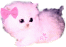 みかん