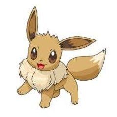 ゾロア可愛い ゾロアーク育成論 神邏のまったりポケモン日記