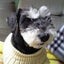 画像 温泉好き、おだけんのブログのユーザープロフィール画像